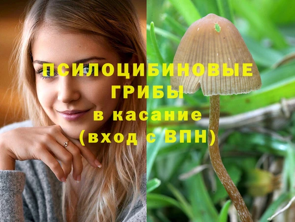 apvp Абаза