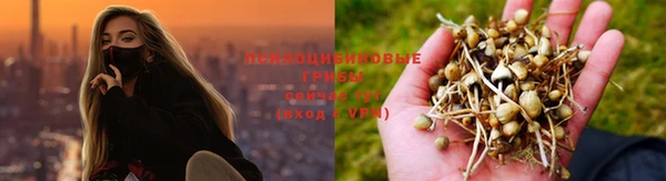 apvp Абаза